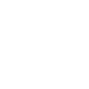 NEIA Consulting